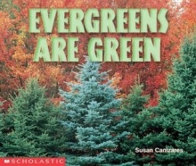 Evergreens Are Green - Susan Canizares