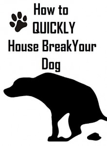 How To House Train Your Dog - David Banks