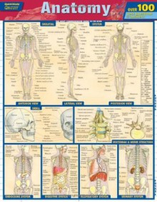 Anatomy Quizzer (Quick Study: Quizzer) - Inc. BarCharts