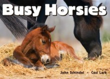 Busy Horsies - John Schindel, Casi Lark