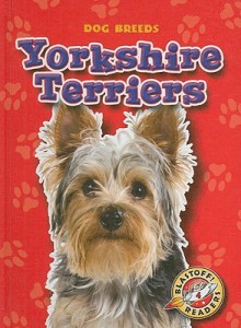 Yorkshire Terriers - Sara Green