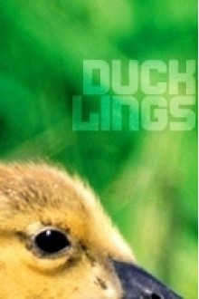 Ducklings - Aliya Whiteley
