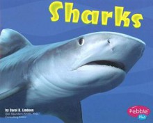 Sharks (Under the Sea) - Carol K. Lindeen