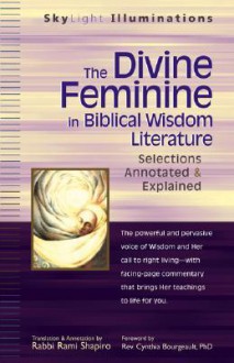 Divine Feminine in Bibical Wisdom Literature: Selections Annotated & Explained (SkyLight Illuminations) - Rami M. Shapiro