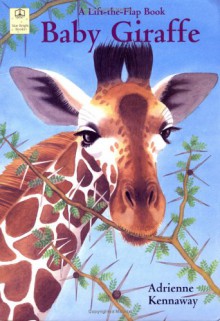 Baby Giraffe - Adrienne Kennaway