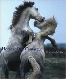 Horses of the Camargue (A Studio book) - Hans W. Silvester