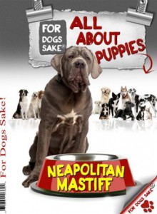 All About Neapolitan Mastiff Puppies - Michael Barton