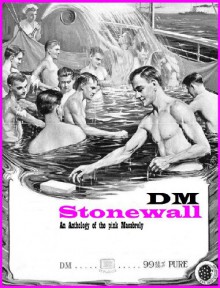 Stonewall ~ A DM Anthology - Walter Conley, Arlene Greene, Brant Lyon, Colin Gilbert, Frank Kelly, Chavisa Woods, Dave Lordan, Richard Marx Weinraub, Etkin Camoglu, Adam Henry Carriere