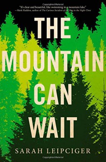 The Mountain Can Wait - Sarah Leipciger