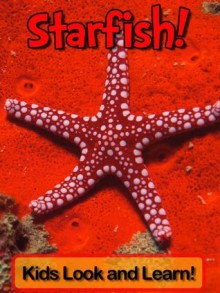 Starfish! Learn About Starfish and Enjoy Colorful Pictures - Look and Learn! (50+ Photos of Starfish) - Becky Wolff