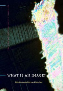 What Is an Image? - James Elkins, Maja Naef