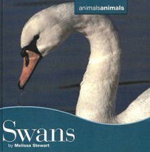 Swans - Melissa Stewart