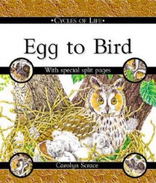 Egg to Bird - Carolyn Scrace