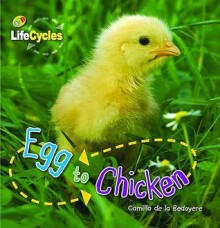 Egg To Chicken (Lifecycles) - Camilla De la Bédoyère