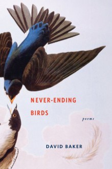 Never-Ending Birds: Poems - David Baker