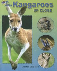 Kangaroos Up Close - Carmen Bredeson