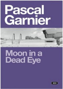 Moon in a Dead Eye - Pascal Garnier