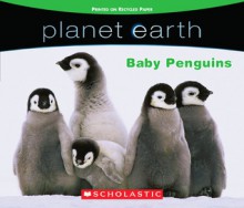 Baby Penguins (Planet Earth) - Quinlan B. Lee