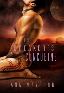 The Breaker's Concubine - Ann Mayburn