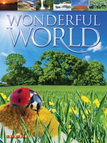 Wonderful World - Jim Pipe