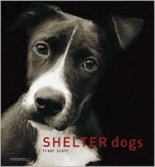 Shelter Dogs - Traer Scott