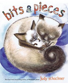 Bits & Pieces - Judy Schachner