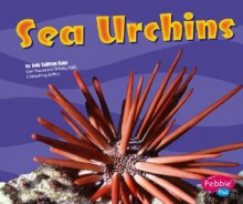 Sea Urchins - Jody Sullivan Rake