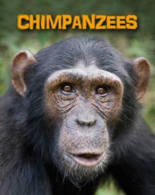 Chimpanzees - Heidi Moore