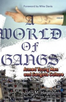 A World of Gangs: Armed Young Men and Gangsta Culture (Globalization and Community) - John M. Hagedorn