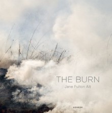 The Burn - Deborah Gribbon, Jane Fulton Alt