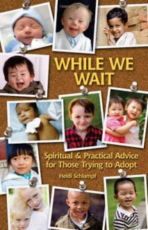 While We Wait: Spiritual & Practical Advice for Those Trying to Adopt - Heidi Schlumpf