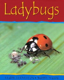 Ladybugs - Claire Llewellyn