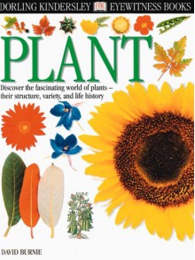 Plant (DK Eyewitness Books) - David Burnie