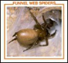 Funnel Web Spiders - Louise Martin