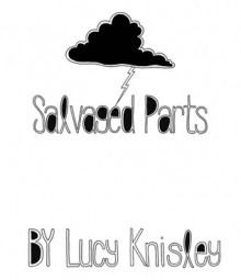 Salvaged Parts - Lucy Knisley