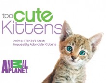 Too Cute Kittens: Animal Planet's Most Impossibly Adorable Kittens - Animal Planet