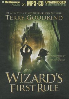 Wizard's First Rule - Terry Goodkind, Sam Tsoutsouvas