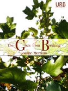 The Glaze from Breaking - Joanne Merriam