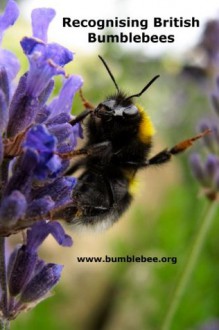 Recognising common British bumblebees - Laura Smith