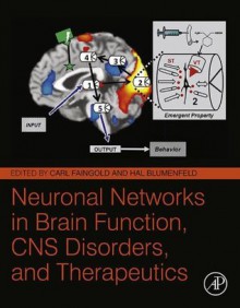 Neuronal Networks in Brain Function, CNS Disorders, and Therapeutics - Carl Faingold, Hal Blumenfeld