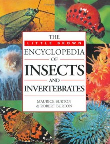 The Little Brown Encyclopedia Of Insects And Invertebrates - Maurice Burton, Peter Burton