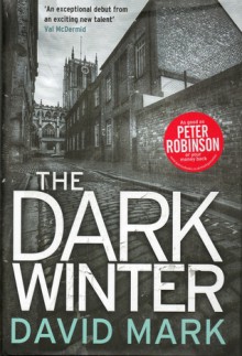 The Dark Winter (Aector McAvoy, #1) - David Mark