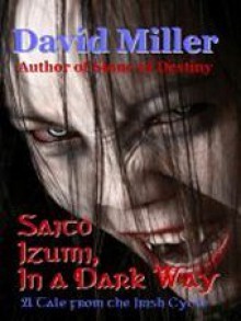 Saito Izumi, In a Dark Way - David Miller