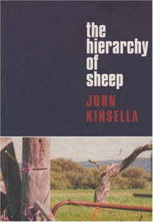 The Hierarchy of Sheep - John Kinsella