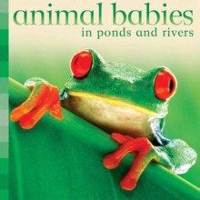 Animal Babies in Ponds and Rivers - Kingfisher, Kingfisher