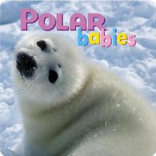 Polar Babies - Creative Publishing, Kristen McCurry