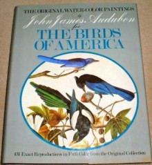 Original Water-Color Paintings by John James Audubon for The Birds Of America - John James Audubon