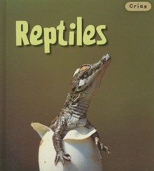 Reptiles - Rod Theodorou