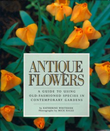 Antique Flowers: A Guide to Using Old-Fashioned Species in Contemporary Gardens - Katherine Whiteside