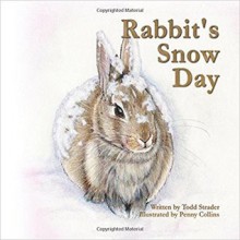Rabbit's Snow Day - Todd Strader